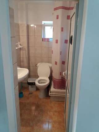 Гостевой дом Pensiunea Rustica Кымпулунг-Молдовенеск Двухместный номер с 1 кроватью и общей ванной комнатой-7